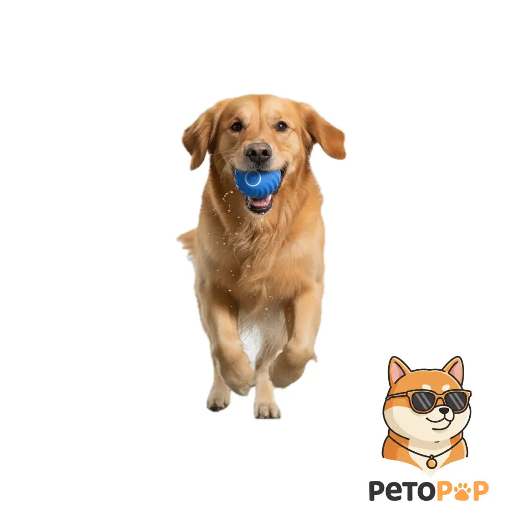 スマート犬用おもちゃボール｜USB充電式 電動インタラクティブボール｜自動で動く・跳ねる猫犬兼用｜Petopop